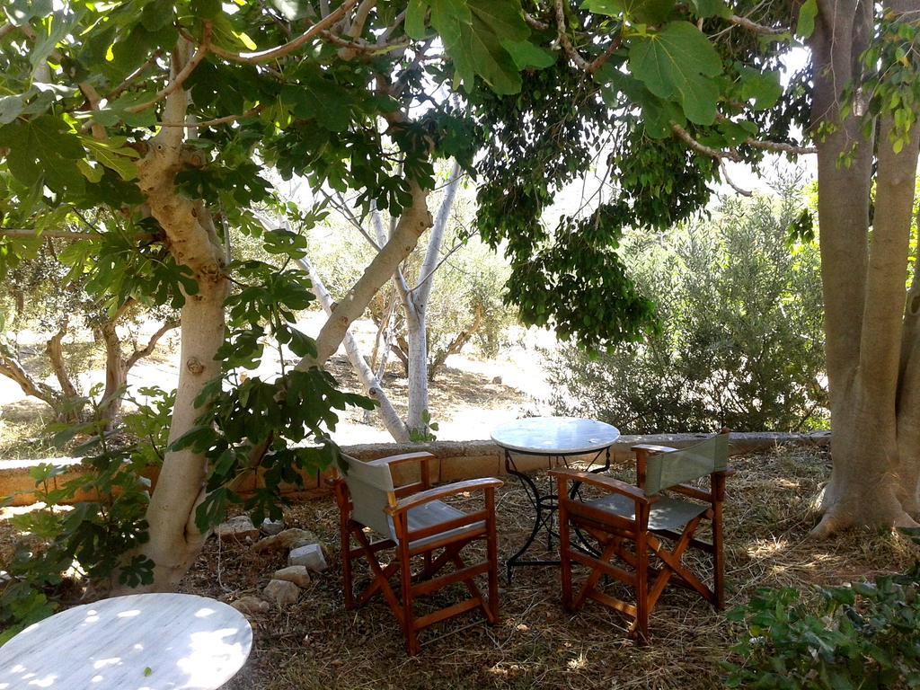 Sunrise Apartments Palekastro Exterior foto